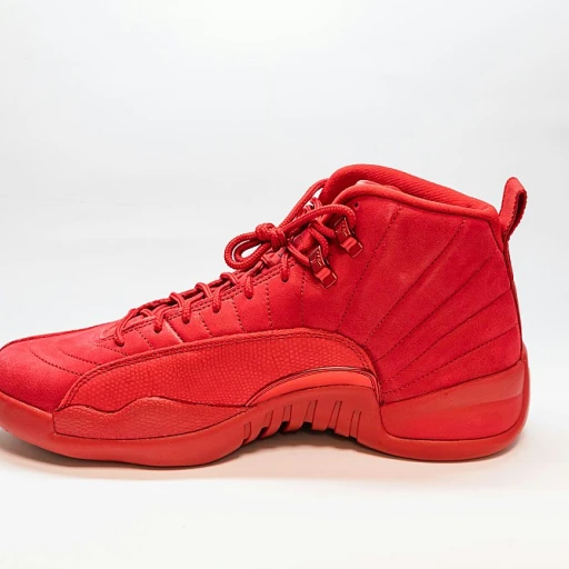 Tout savoir sur les jordan 9 ix